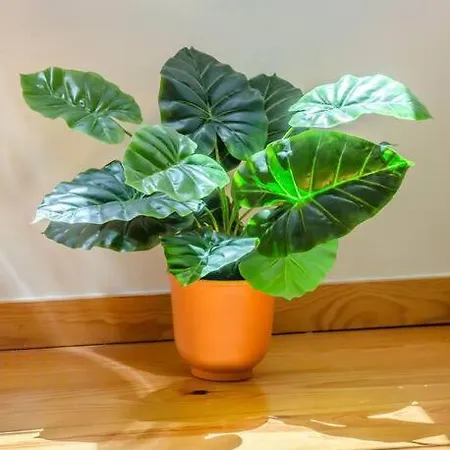 Alfama Charming Διαμέρισμα Lisboa